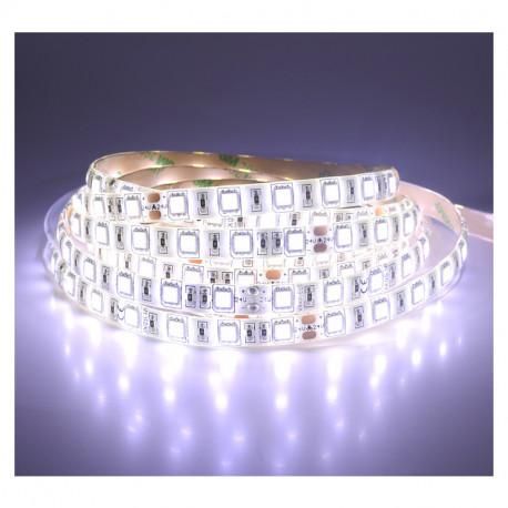 RUBAN LED - 14,4W/M - 12VDC - 865 - 5M - 290LM - IP20