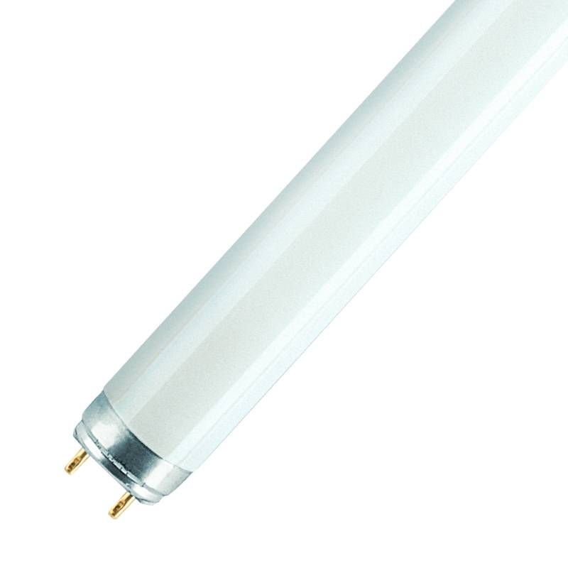                         446004 - Tube fluorescent LUMILUX T8 Ledvance - G13 - 15W - 4000K - Dimmable