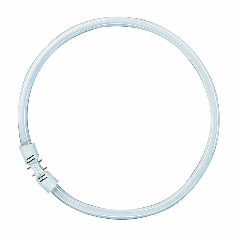                         Tube fluorescent circulaire LUMILUX T5 FC 2GX13 40W