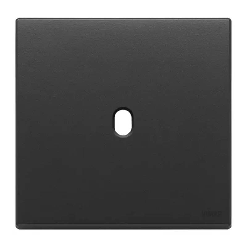                         PLAQUE - 1 BOUTON - EIKON VINTAGE - ANTHRACITE