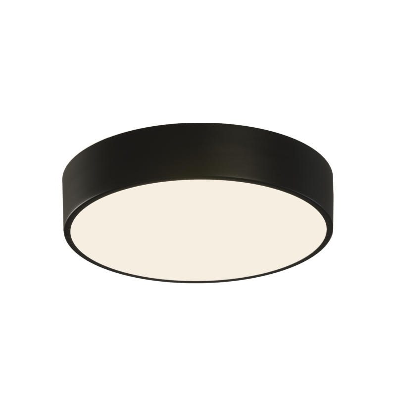                        PLAFONNIER - DINS - 24W - CCT - 2520LM - NOIR - IP44 - CLII - Ø320