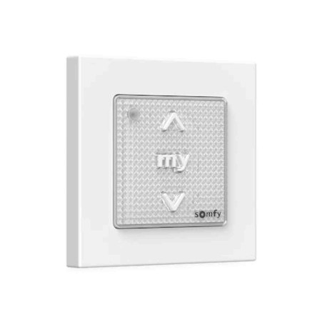 DE - Point de commande murale Smoove® RTS II Somfy - Module + cadre