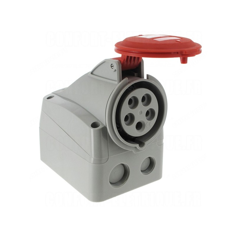                         Prise saillie P17 - 380/415 V - 16A - 3P+N+T - IP 44