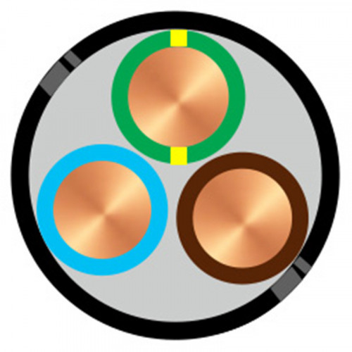 U1000-R2V