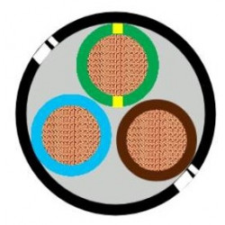 HO7-RNF